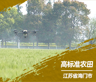 江苏海门：打造数字化高标准农田，为乡村振兴蓄势赋能